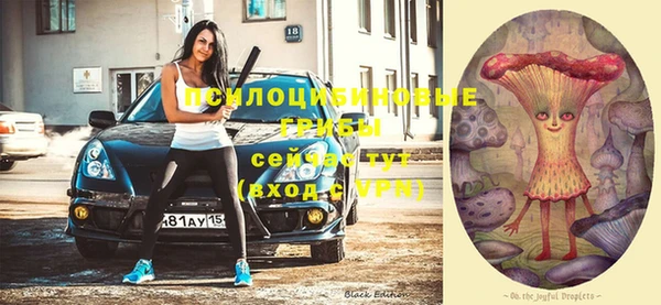спиды Абинск