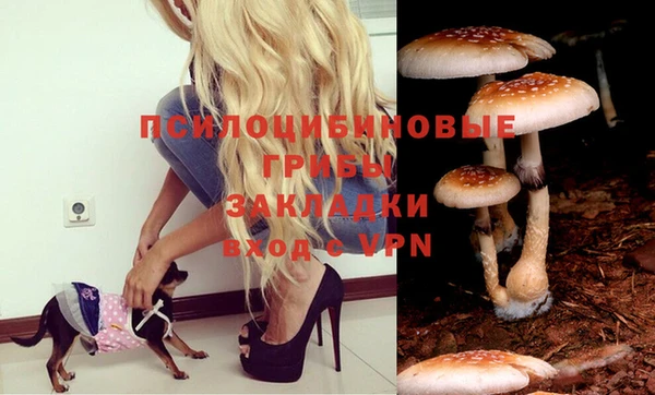 спиды Абинск