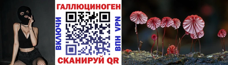 хочу   Энем  Псилоцибиновые грибы прущие грибы 